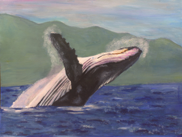 Humpback Whale