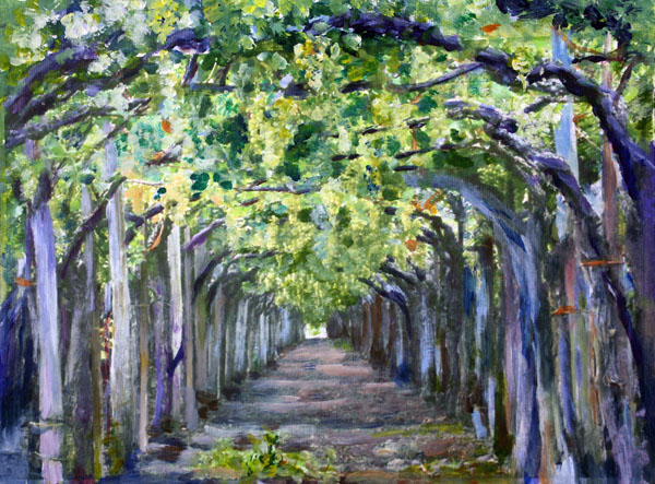 Grape Arbor